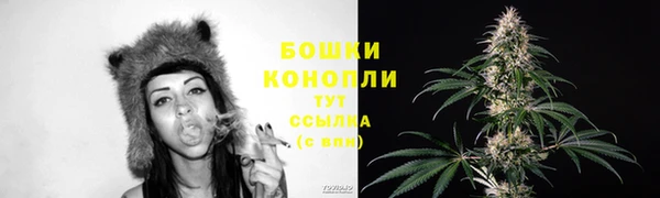 гидропоника Туринск