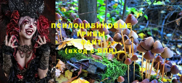 бутират Гусиноозёрск