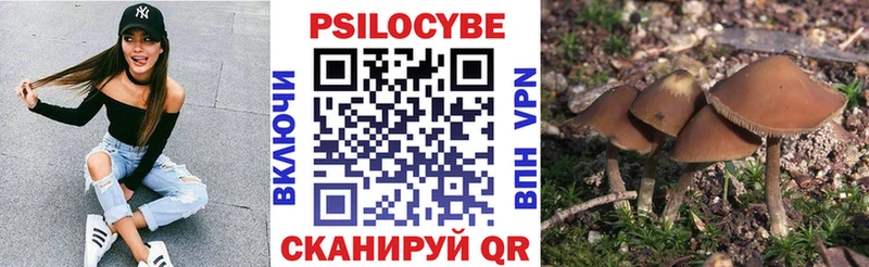 Псилоцибиновые грибы GOLDEN TEACHER  Купить закладки  Нурлат 